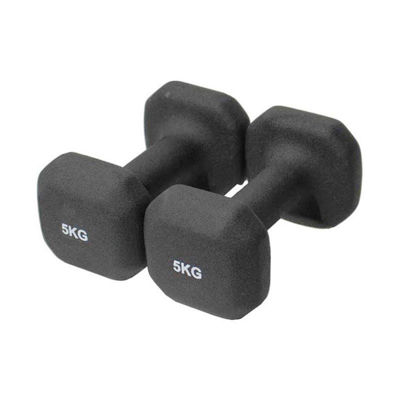 Dumbbell Dubh Rough Vinyl Dipped