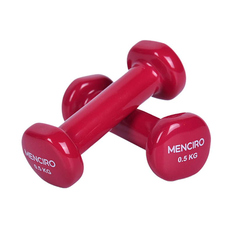 Dumbbell Bunúsach Vinyl Brataithe 0.5kg